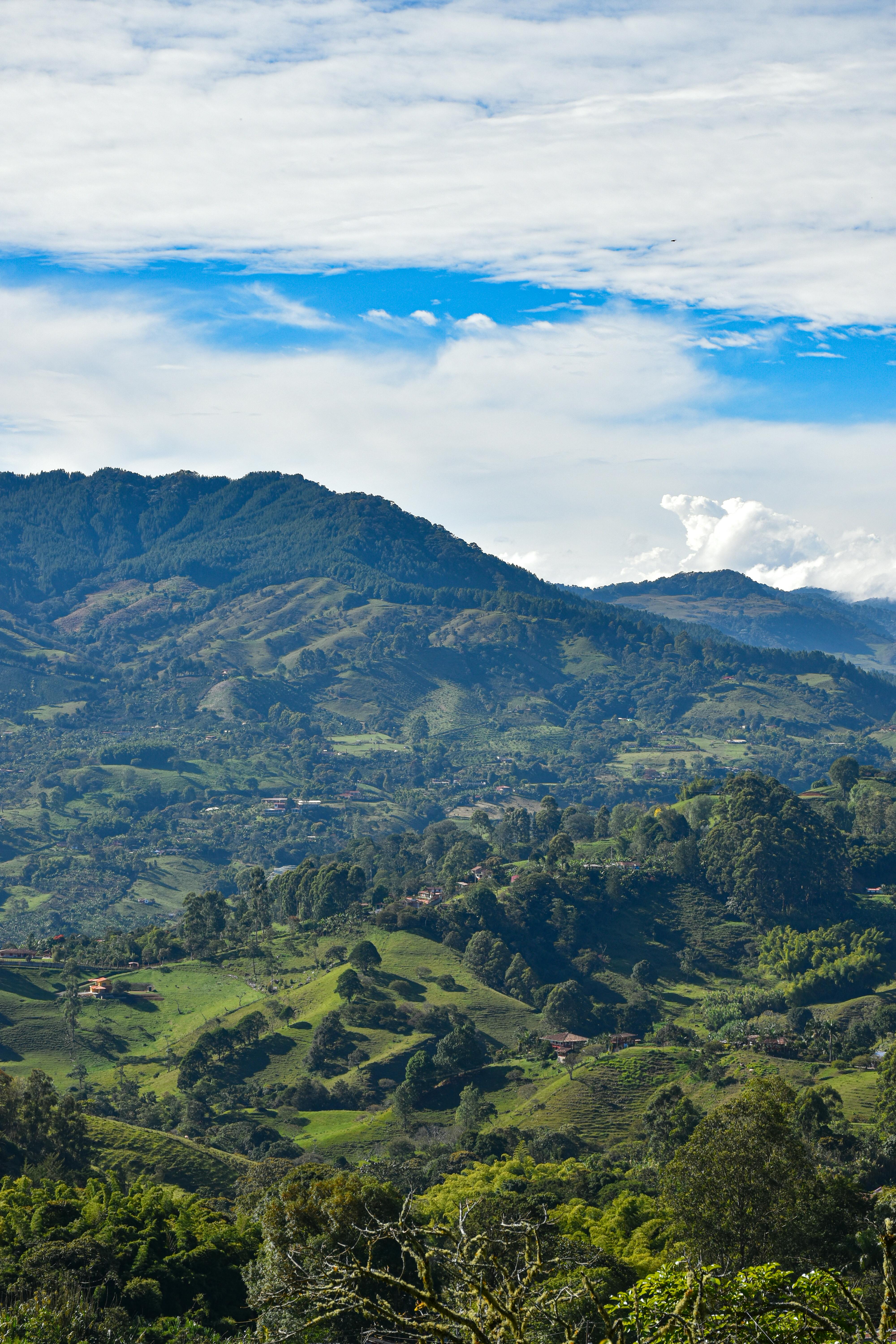 Colombian coffee growing region